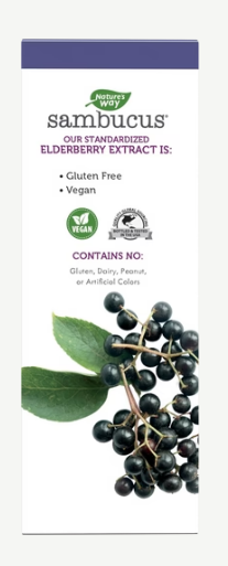 Nature's Way Sambucus Sugar-Free Syrup 8 Fl Oz