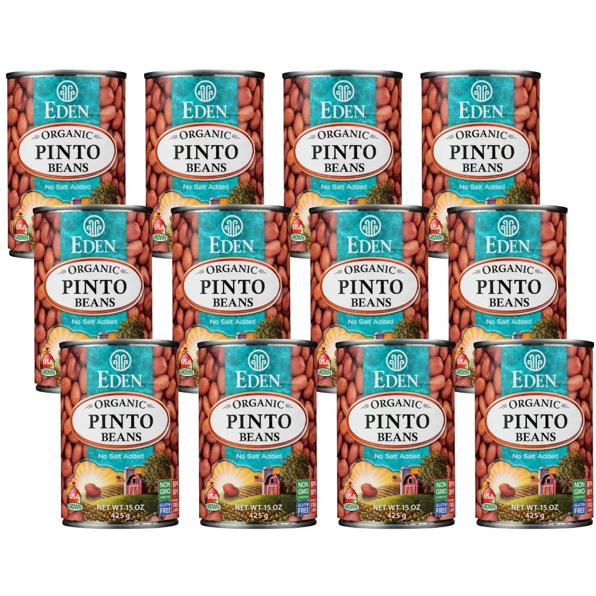 EDEN FOODS Pinto 15 OZ