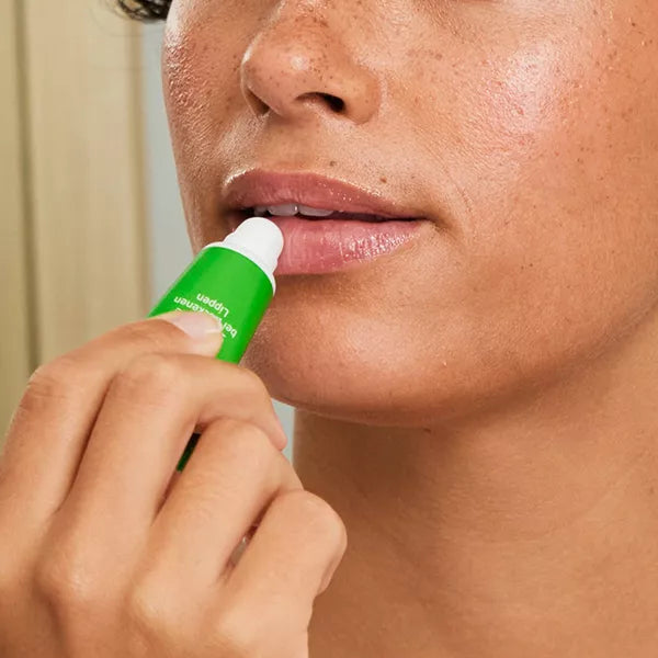 Weleda Skin Food Lip Butter Plant Oil Blend Hydrate Lip Butter