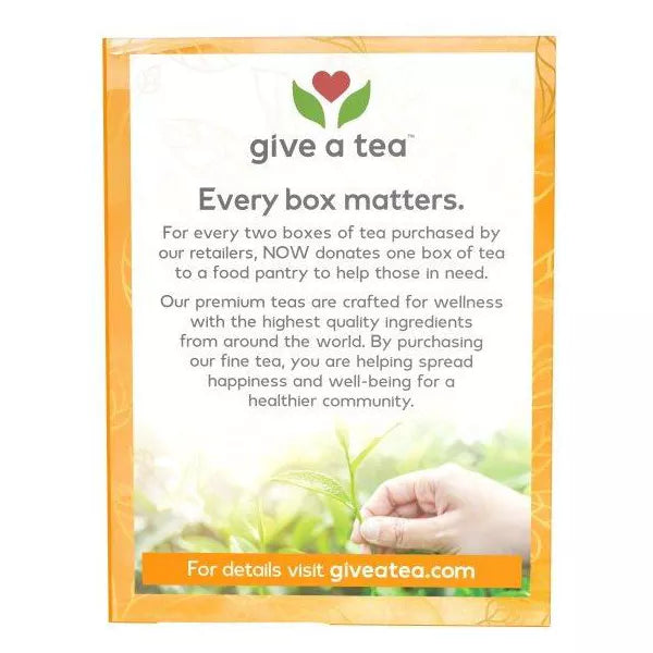 Now TURMERIC GINGER ORGANIC TEA 24 BAGS