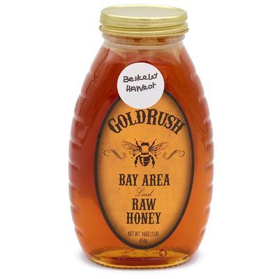 Goldrush Bay Area Raw Honey 16 oz