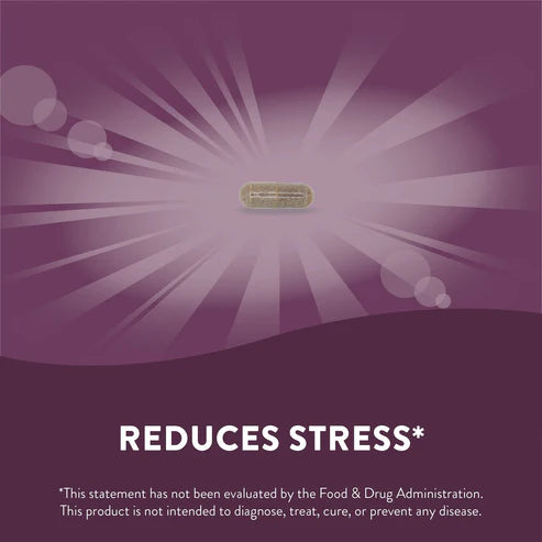 Nature's Way Ashwagandha Premium Extract 60 Vgn Cp