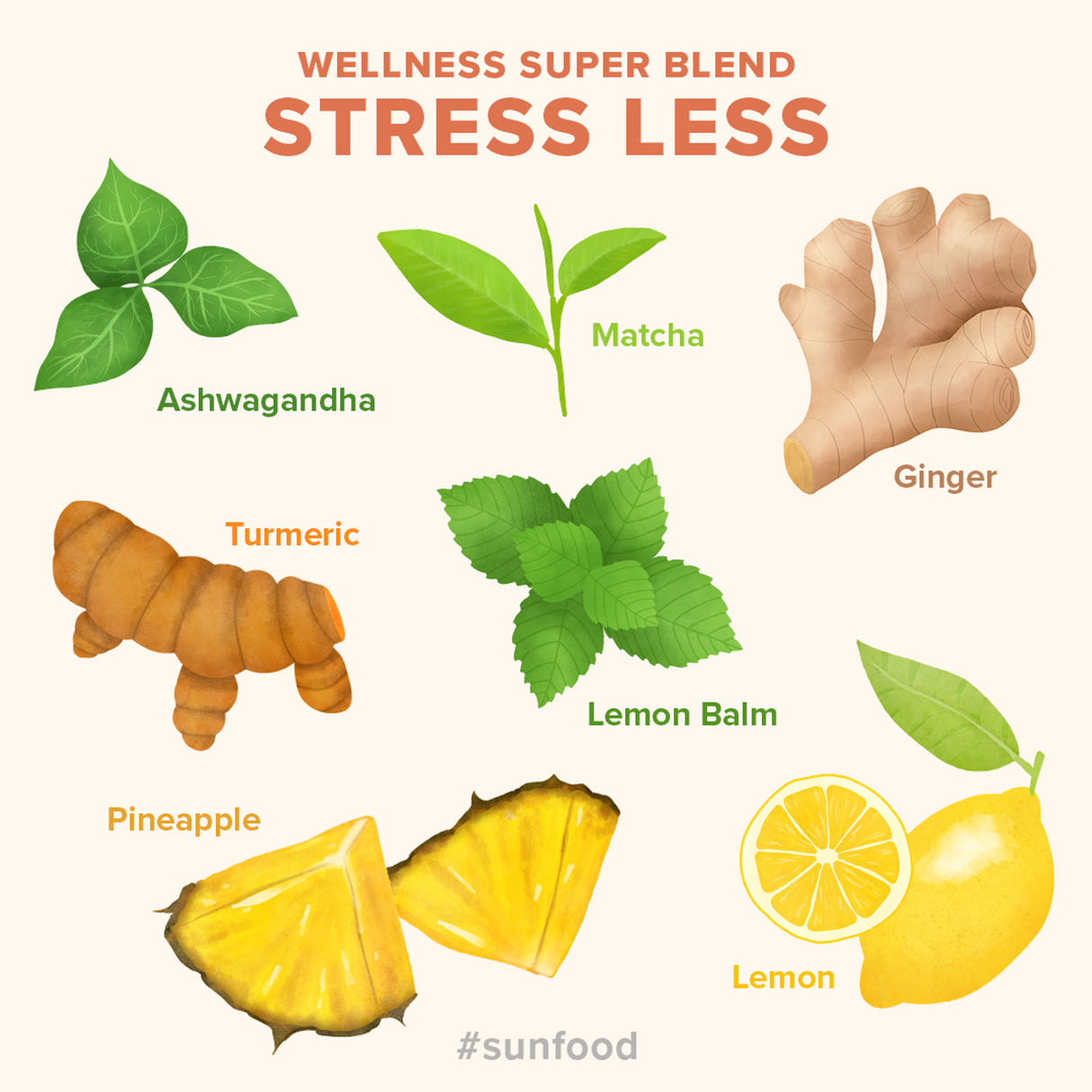 Sunfood Wellness Super Blend, Stress Less 8oz