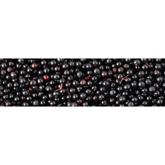 BIOTTA Elderberry 16.9 OZ