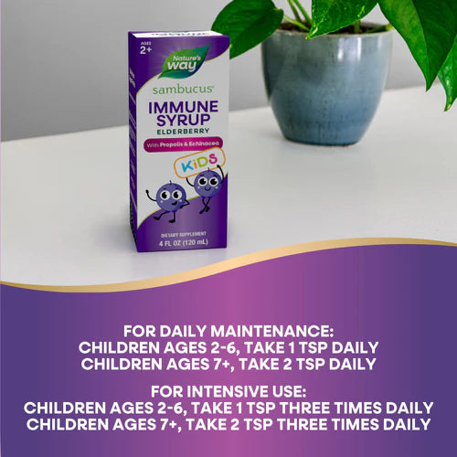 Nature's Way Sambucus Immune Syrup for Kids 4 Fl Oz