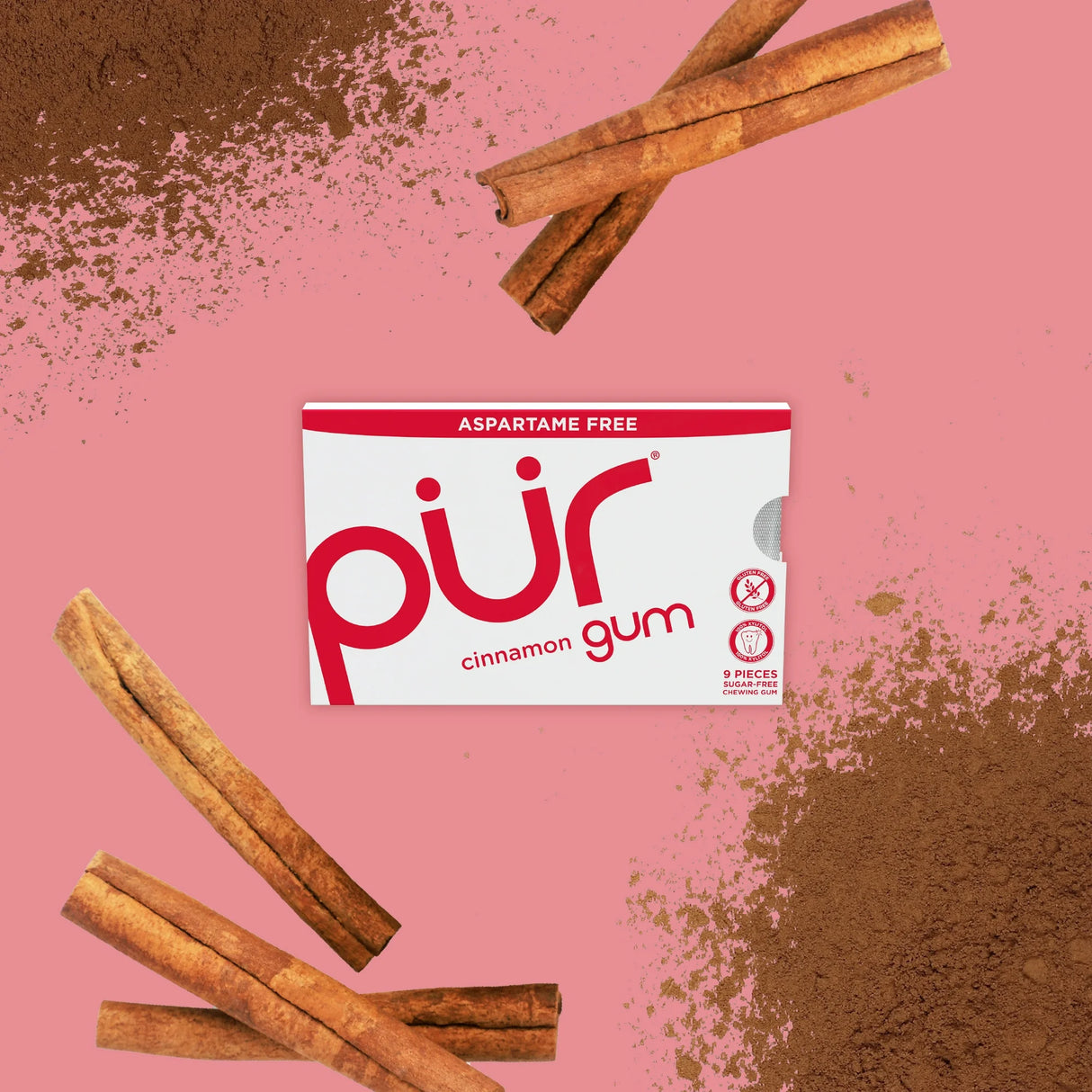 PUR GUM Cinnamon 9 Pieces