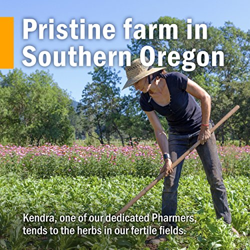 Herb Pharm CATNIP EXTRACT 1 oz