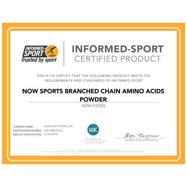 Now BRANCH CHAIN AMINO POWDER 12 OZ