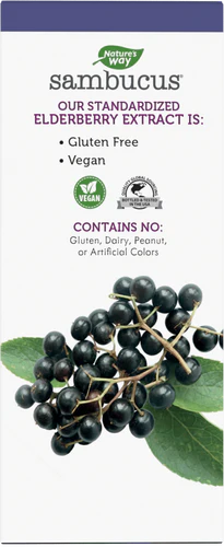 Nature's Way Sambucus NightTime™ Syrup 4 Fl Oz