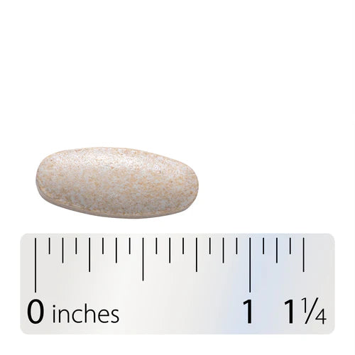 Nature's Way Boswellia Premium Extract 60 Tb