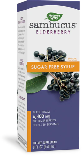 Nature's Way Sambucus Sugar-Free Syrup 8 Fl Oz