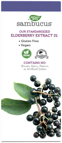 Nature's Way Sambucus Sugar-Free Syrup 4 Fl Oz