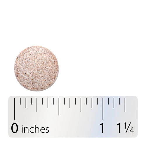 Nature's Way DGL (Sugar Free) 100 Chw Tb