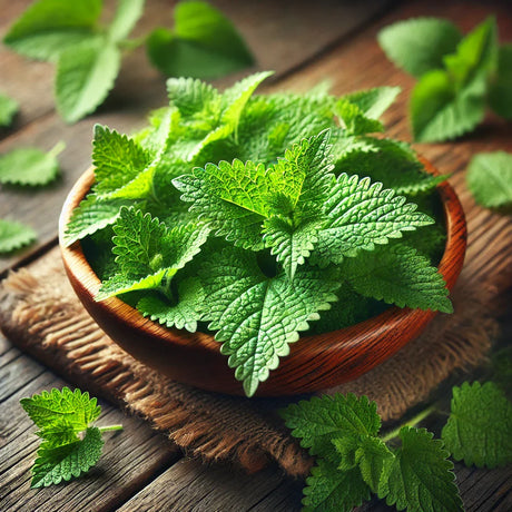 Epazote: The Unique Herb for Flavor and Digestive Health