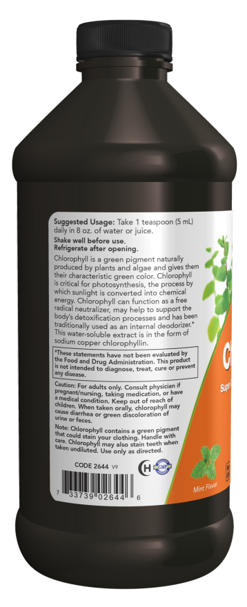 Now LIQ CHLOROPHYLL & MINT 16 OZ