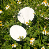 SKY ORGANICS ORGANIC COTTON OVALS 60CT