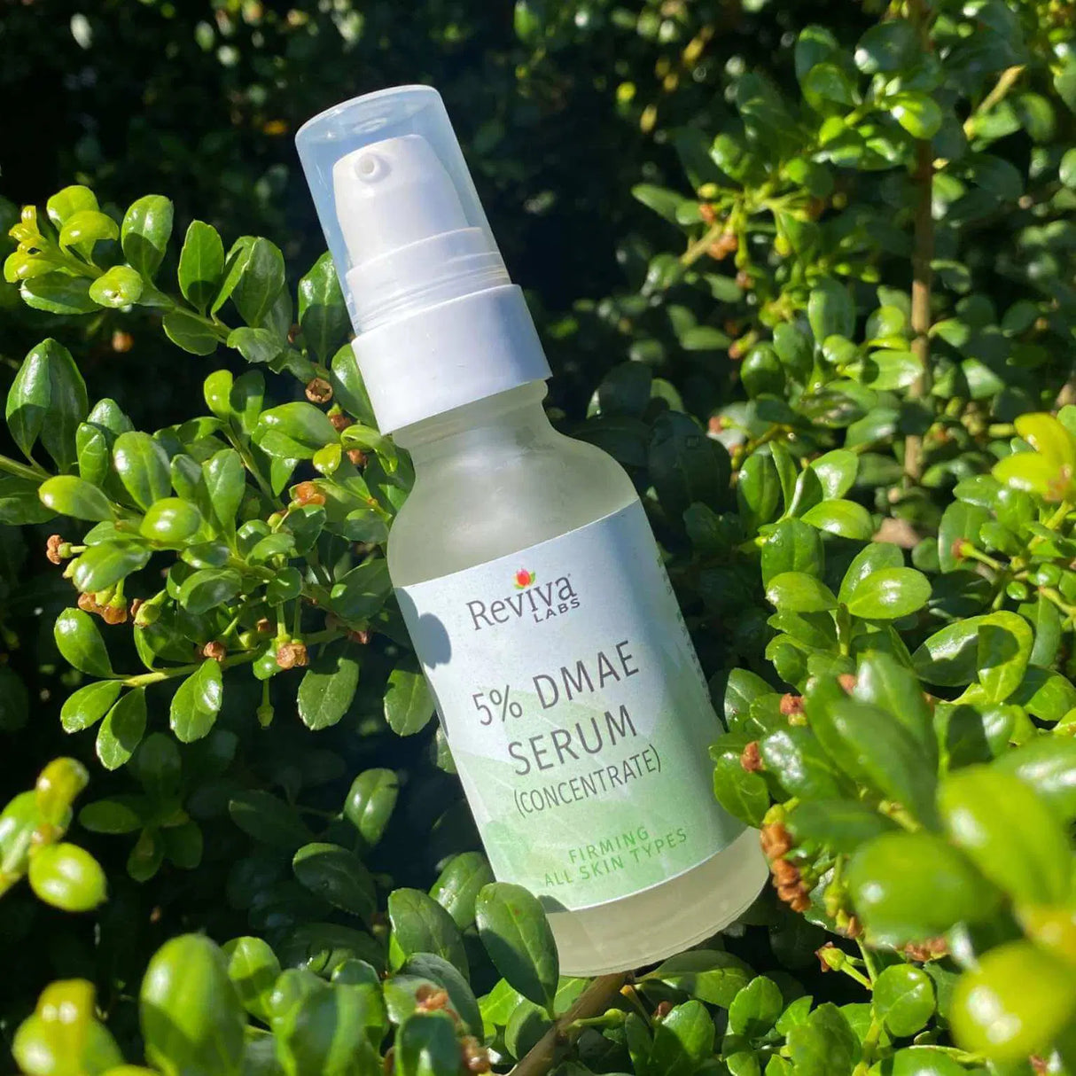 Reviva Labs - DMAE Firming Fluid - 1 oz.