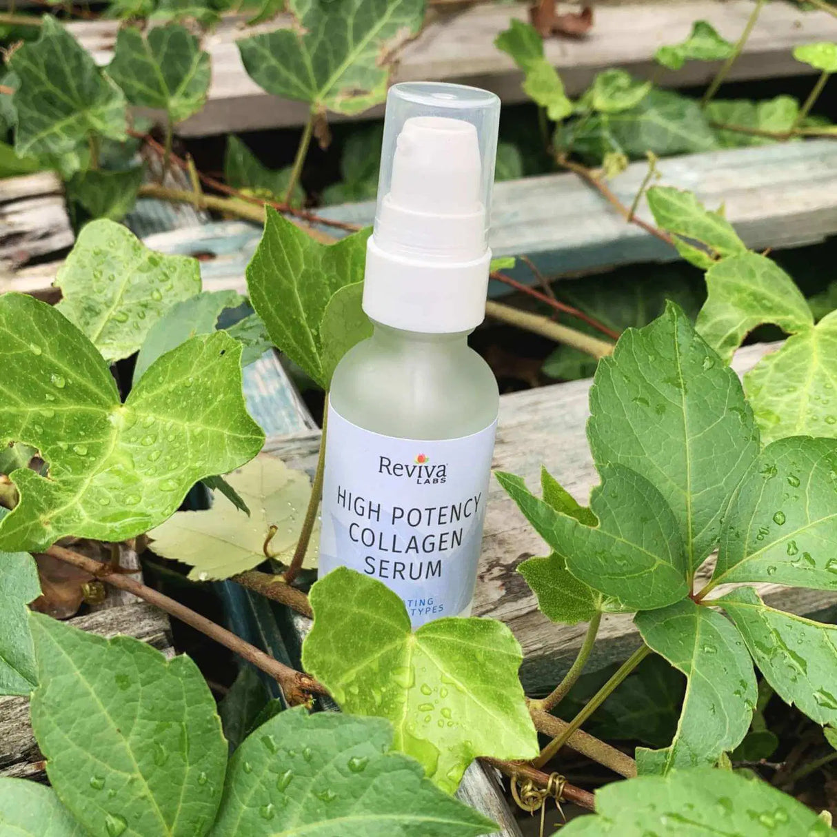 Reviva Labs Collagen Serum - 1 fl oz