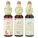 Bach Original Flower Remedies Get It Done Kit