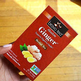 BRAVO TEA Absolute Ginger Tea 20 BAG