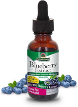 Natures Answer Blueberry Extract Low Alcohol