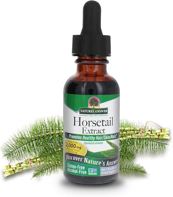 Nature's Answer Horsetail Aerial Parts Alcohol