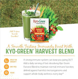 Kyolic, Kyo-Green Harvest Blend Drink Mix, 6 Oz
