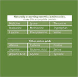 Biochem VEGAN PROTEIN CHOCOLATE 13.6 Powder