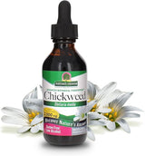 Natures Answer Chickweed Extract Low Grade Alcohol