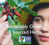 BRAVO TEA Hair Regrowth Tea 20 BAG