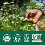 ORGANIC INDIA Ceylon Cinnamon