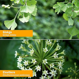 Herb Pharm WARMING CIRCULATION  1 oz