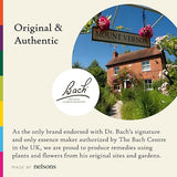 Bach Original Flower Remedies Emotional Ups & Downs Kit