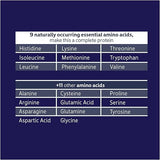 Biochem 100% WHEY SUGARFREE CHOCOLATE 12.5 Powder
