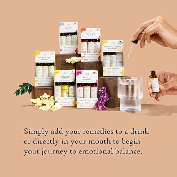 Bach Original Flower Remedies Emotional Ups & Downs Kit