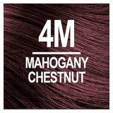 NATURTINT 4M MAHOGNYCHSTNUT 5.6FLOZ