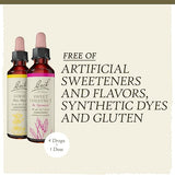 Bach Original Flower Remedies Hope & Joy Kit