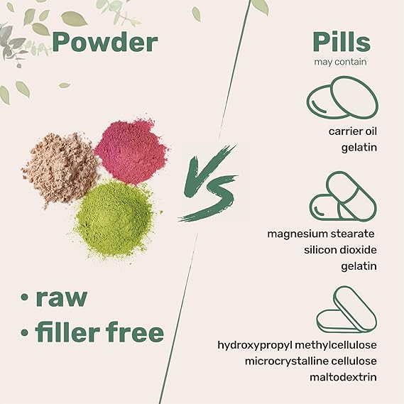 Superfood Mushroom REISHI Powder Extract