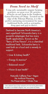 BRAVO TEA Absolute Schisandra Berry Tea 20 BAG