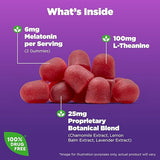 CALM PECTIN SLEEP GUMMIES 60CT