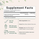 Superfood Mushroom REISHI Powder Extract