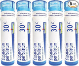 Boiron Eupatorium perfoliatum 30c