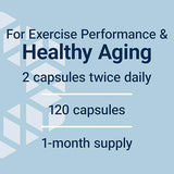Life Extension Creatine Capsules