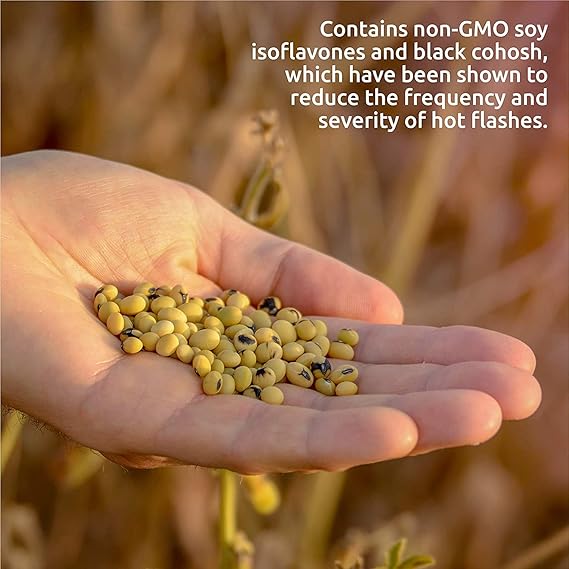 SOURCE NATURALSETER WMN HOT FLASH 45T