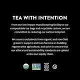 CHOICE ORGANIC TEAS Apple Mate 16 BAG