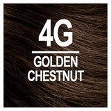 NATURTINT 4G GOLDEN CHESTNUT 5.6FLOZ