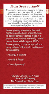 BRAVO TEA Absolute Panax Ginseng Tea 20 BAG