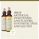 Bach Original Flower Remedies Clarity Of Mind Kit