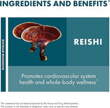 Host Defense Reishi Powder 100 grams
