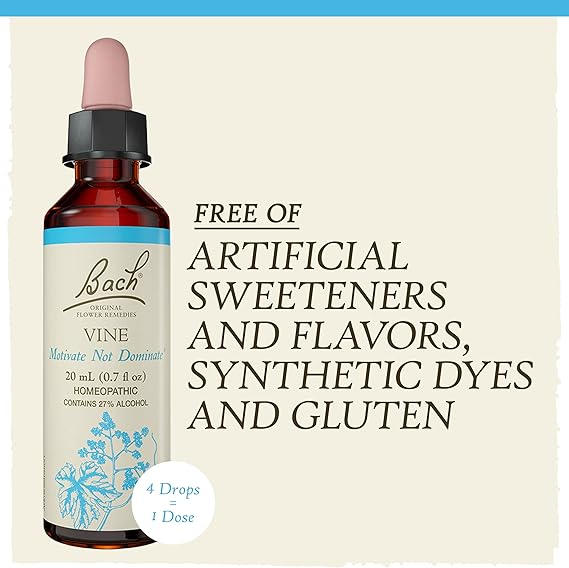 Bach VINE Motivate Not Dominate